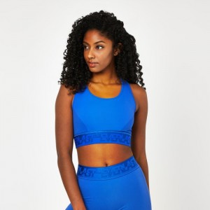 Blue Everlast Seamless Paneled Women's Sports Bra | 12734OMYU