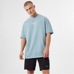 Grey Blue Everlast Script Men's T-Shirt | 58914VKBO