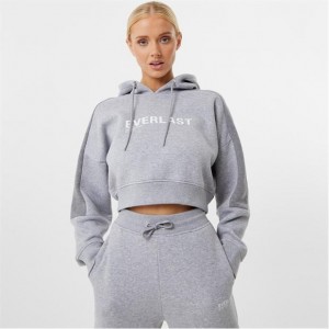 Grey Everlast Block Crop Women's Hoodie | 07941HWKC