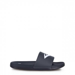 Grey Everlast Godan Men's Sliders | 20671BFHS