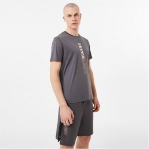 Grey Everlast Logo Vent Men's T-Shirt | 28357VFLQ