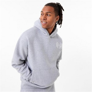 Grey Everlast Protex Laurel Men's Hoodie | 16907ONMX