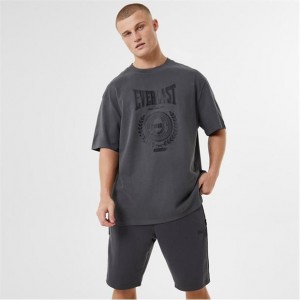 Grey Everlast Protex Laurel Men's T-Shirt | 56431YMNK