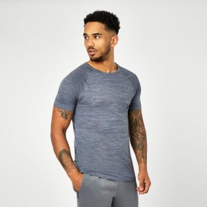 Grey Everlast Seamless Men's T-Shirt | 56438EJOM