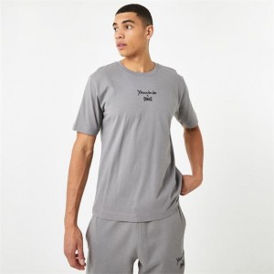 Grey Everlast X Yiannimize Graphic Logo Men's T-Shirt | 18394WKFH