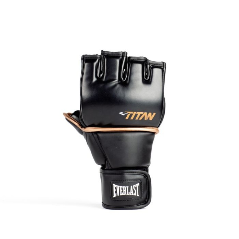 Black Everlast Titan Grappling Unisex MMA Gloves | 73928KODN