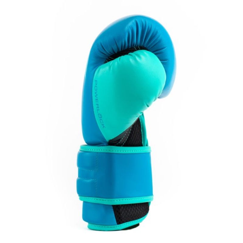 Blue Everlast Powerlock2 Training Unisex Boxing Gloves | 81205KNFW