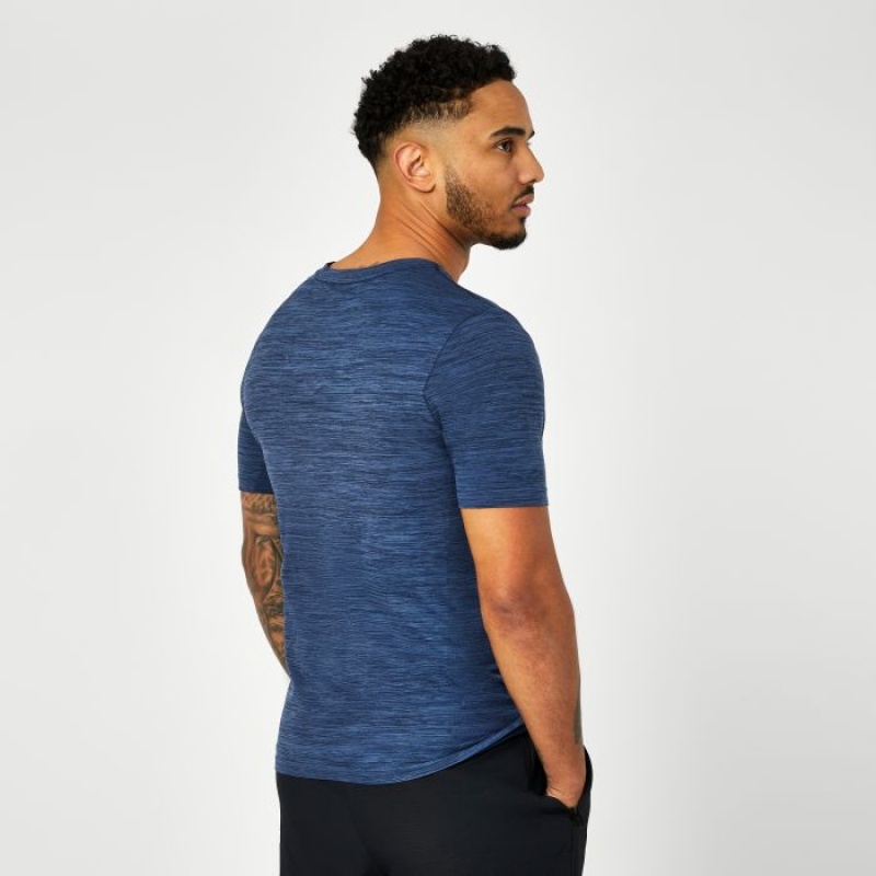 Blue Everlast Seamless Logo Men's T-Shirt | 45876NEZD