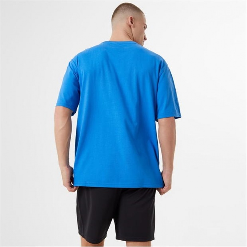 Blue Everlast Shadow EVR Men's T-Shirt | 61298ONYI