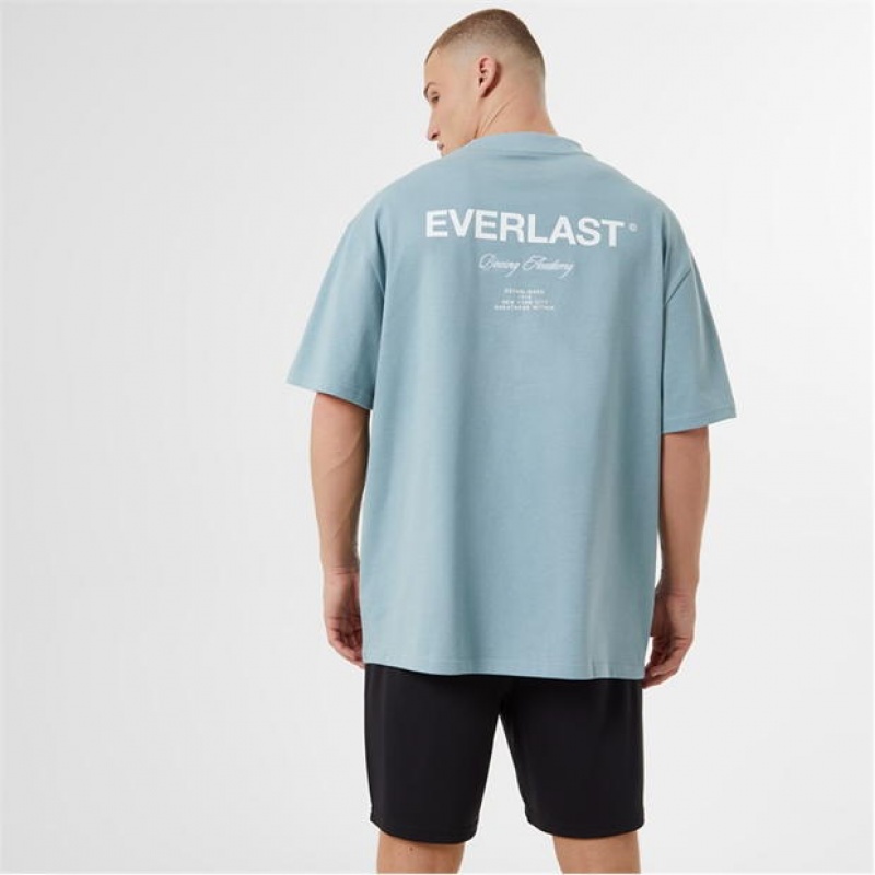 Grey Blue Everlast Script Men's T-Shirt | 58914VKBO