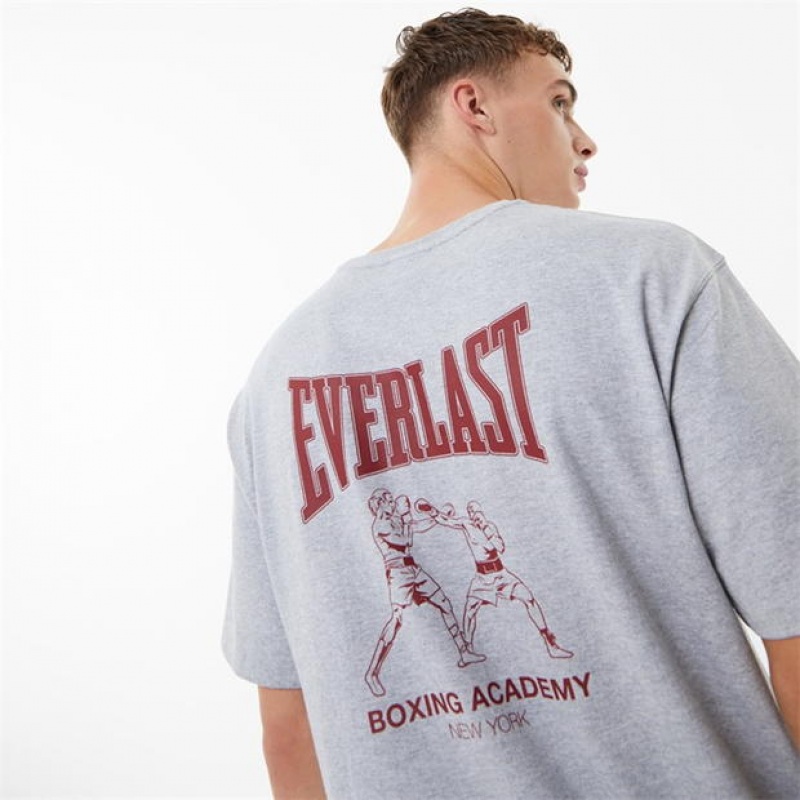 Grey Everlast Everlast Boxing Club Men's T-Shirt | 80941FZIR