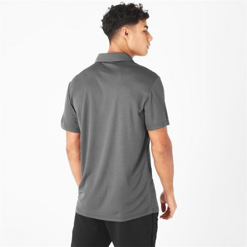 Grey Everlast Logo Men's Polo | 14582TEGF