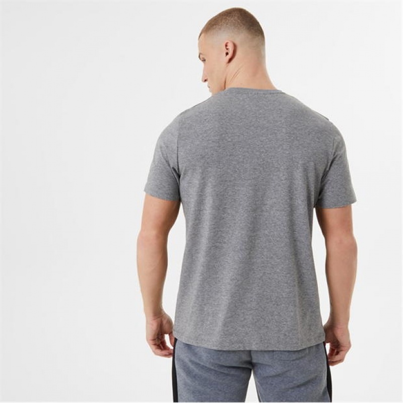 Grey Everlast Logo Men's T-Shirt | 91673SXNK