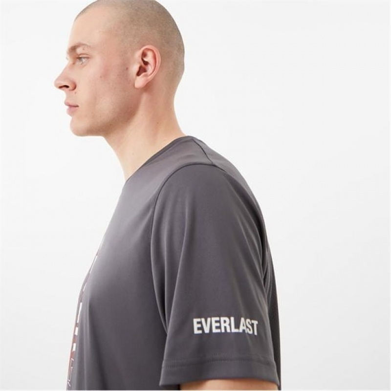 Grey Everlast Logo Vent Men's T-Shirt | 28357VFLQ