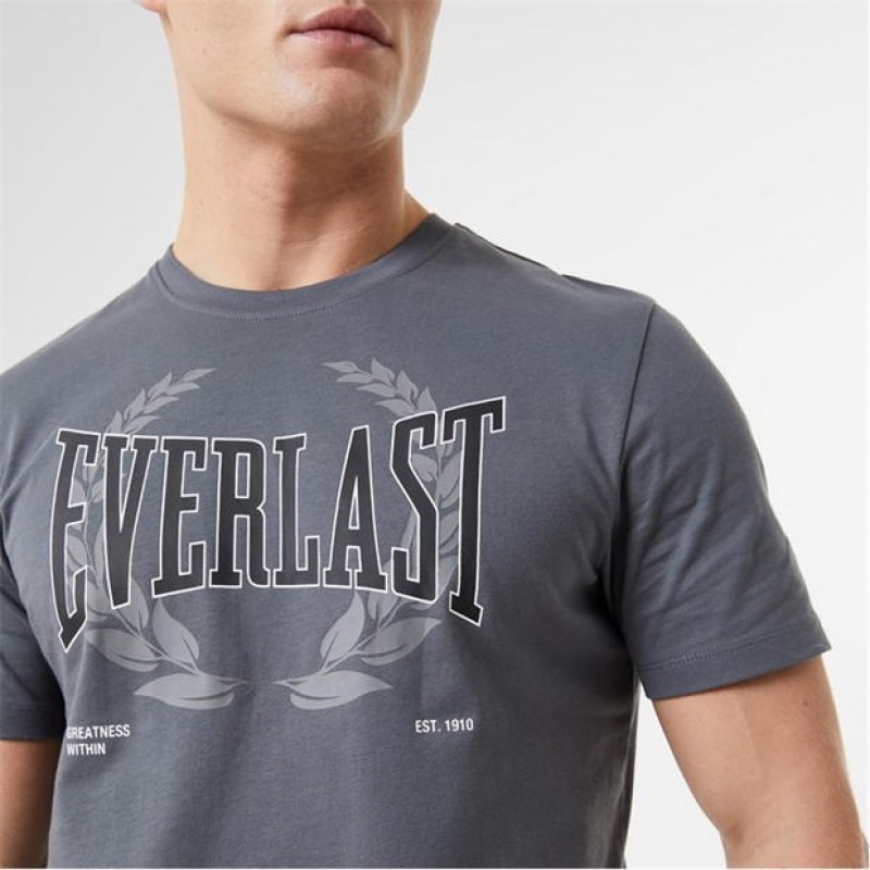 Grey Everlast MX Laurel Men's T-Shirt | 49710HYRS