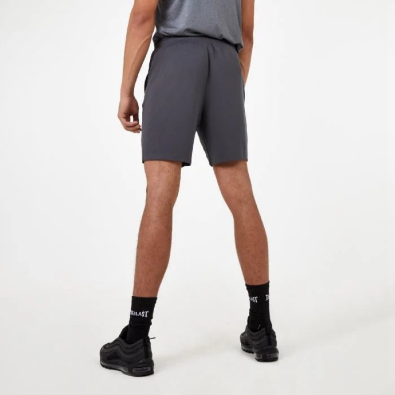 Grey Everlast Mesh Poly Men's Shorts | 29530HPXF