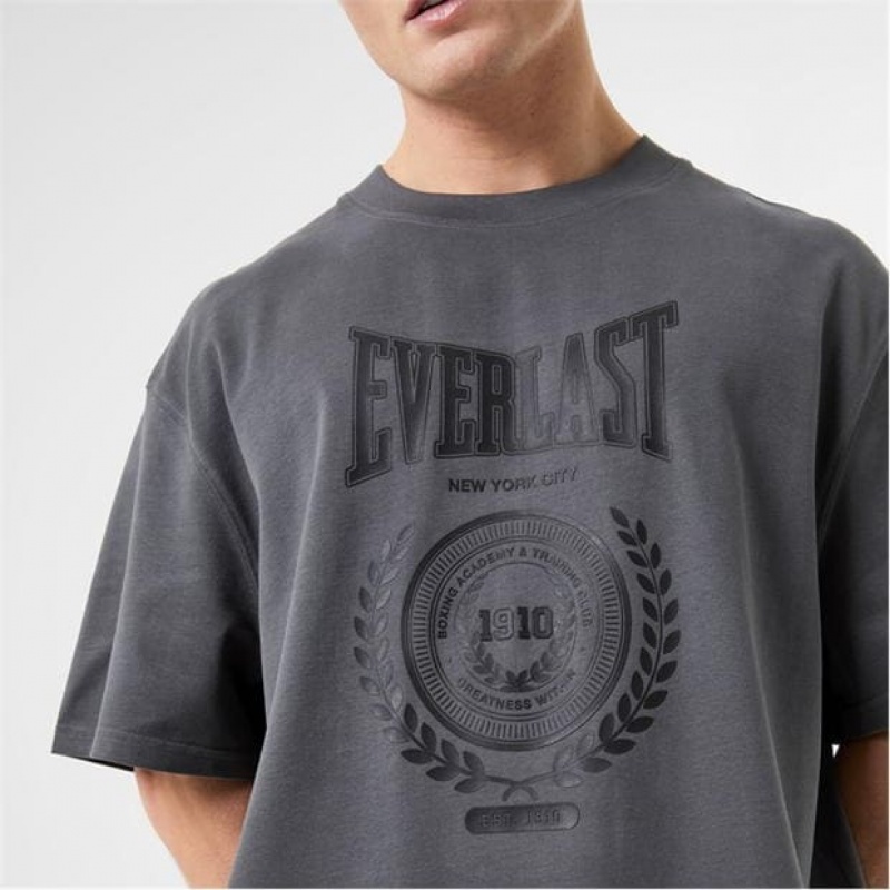 Grey Everlast Protex Laurel Men's T-Shirt | 56431YMNK