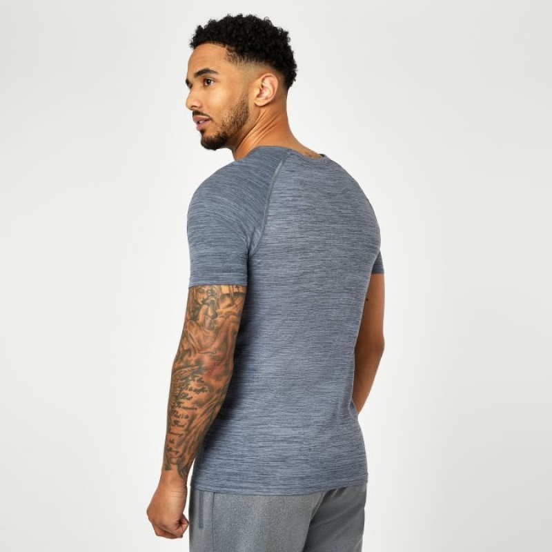 Grey Everlast Seamless Men's T-Shirt | 56438EJOM