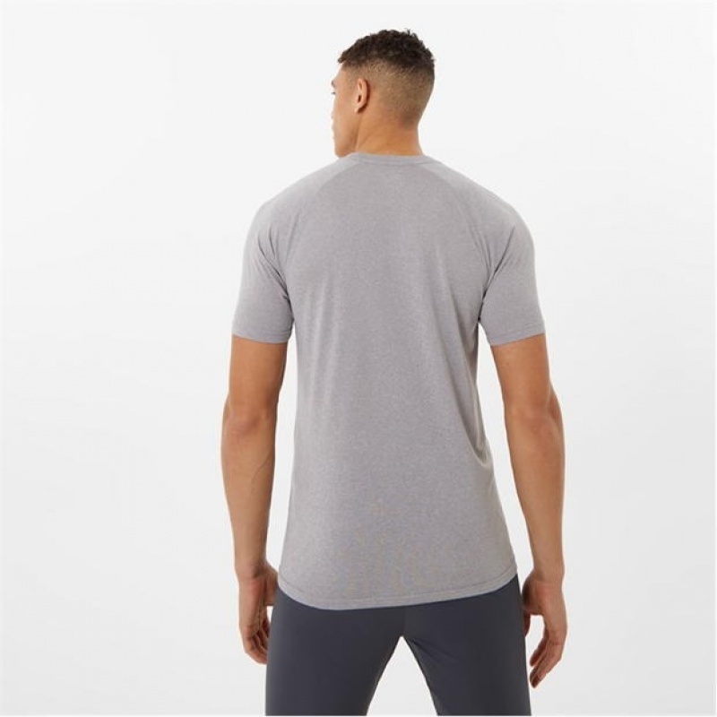 Light Grey Everlast X Essential Poly Men's T-Shirt | 01865FSJL