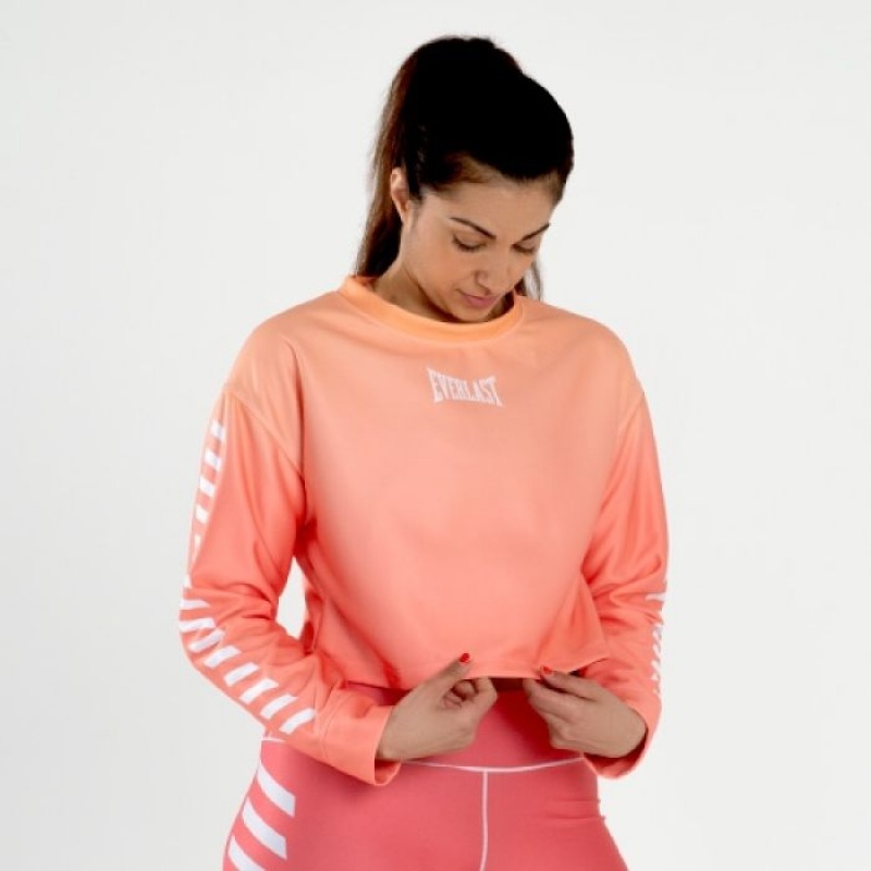 Orange Everlast Colorplay Crop Women's Sweatshirt | 71520ZGYW