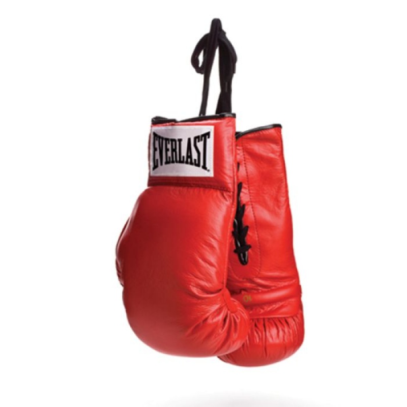 Red Everlast Leather Autograph Unisex Boxing Gloves | 43268KBSQ